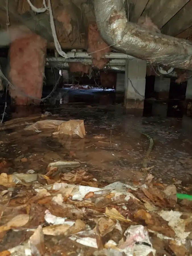 Crawl space flood assessment for Leak Detection & Repair in Sawmills