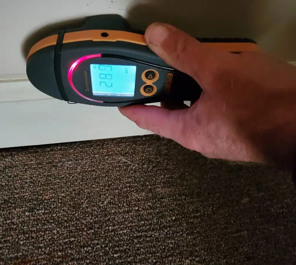 Moisture detection at baseboard during Sewage Cleanup & Sanitation in Sawmills